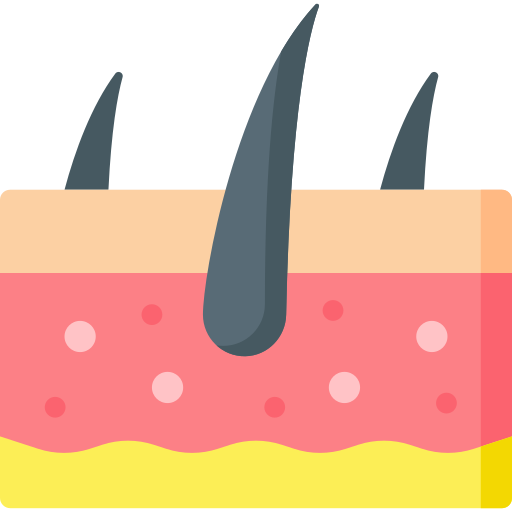 EducUp