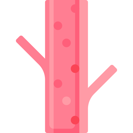 EducUp