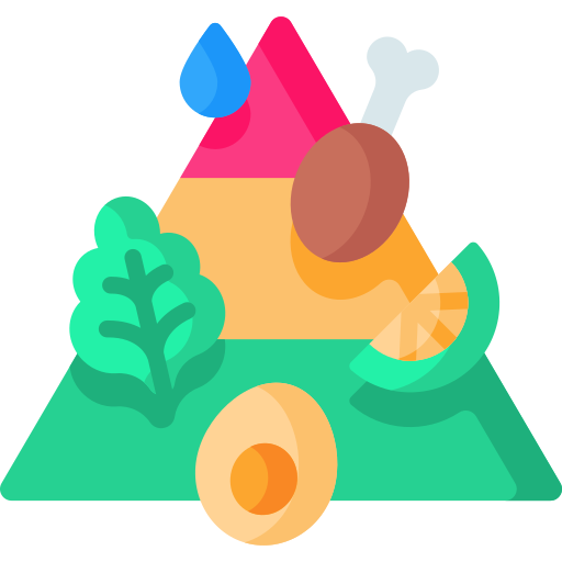 EducUp